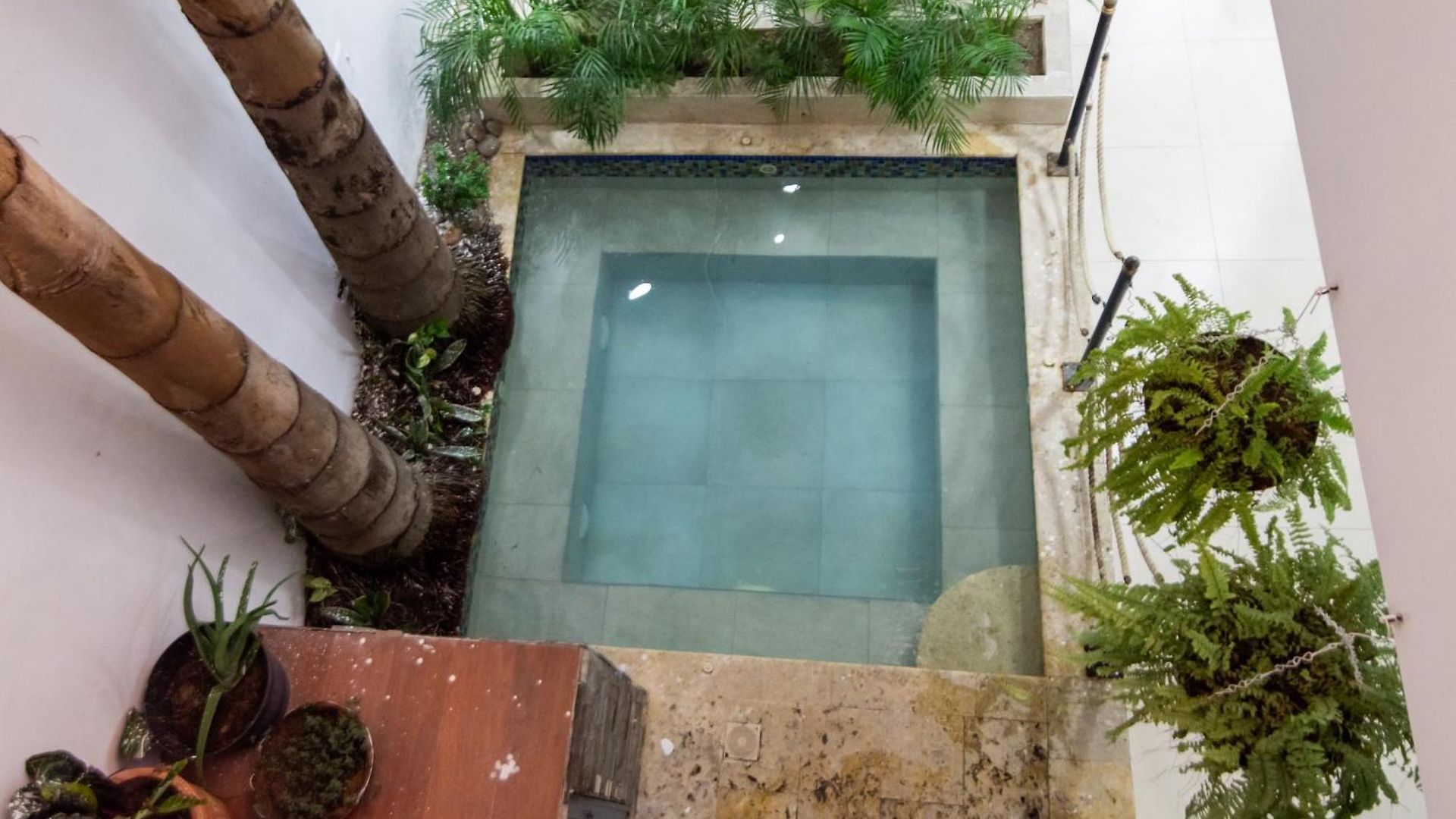 Tropical Moon Getsemani Guest house *
