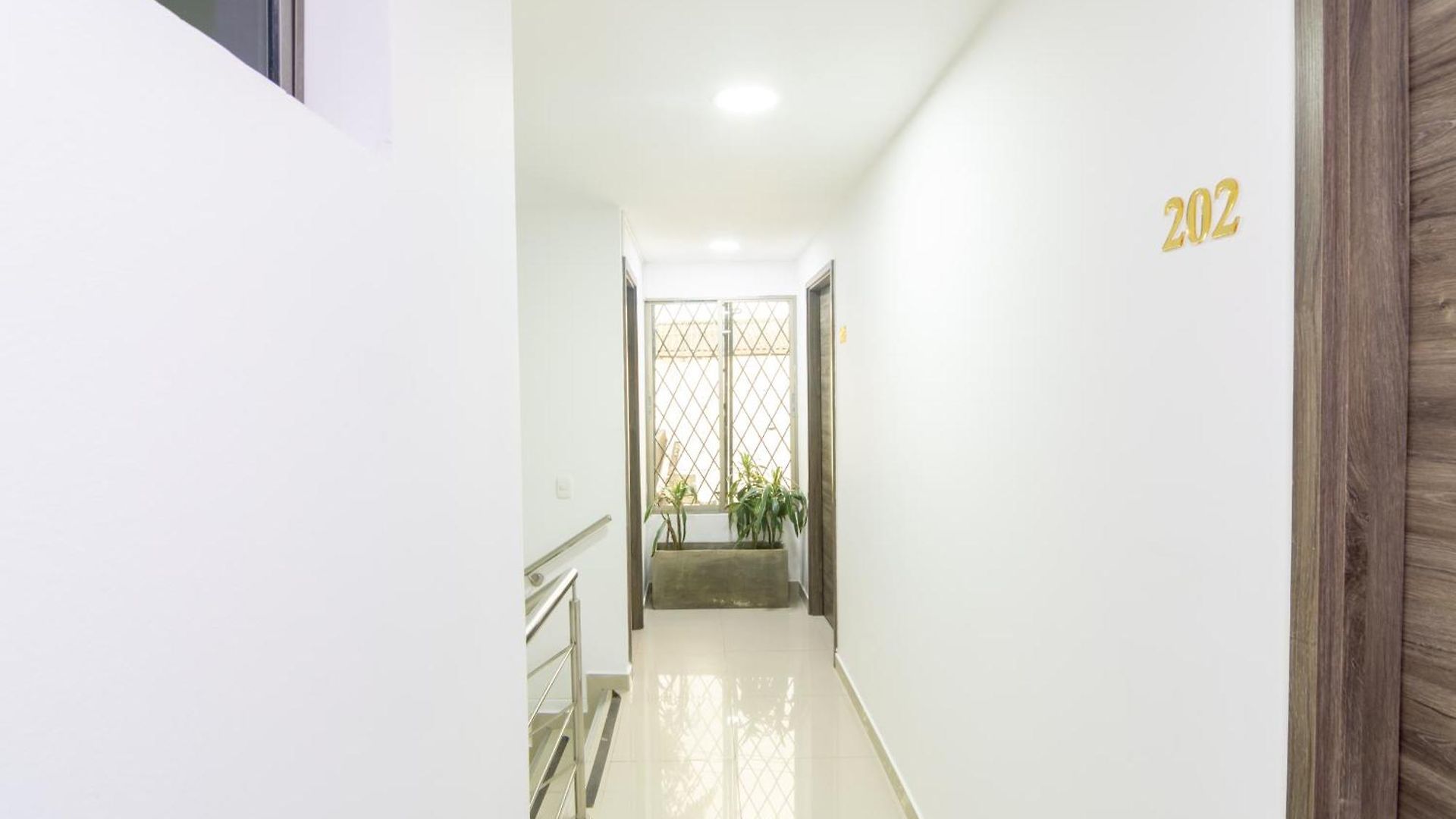 Guest house Tropical Moon Getsemani *