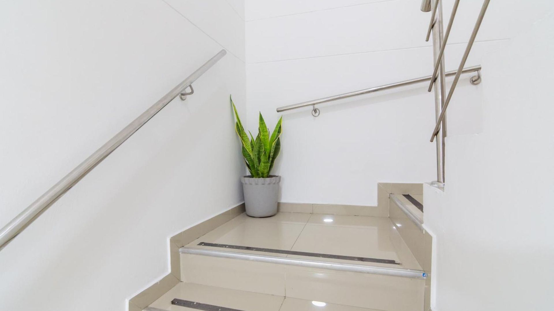Tropical Moon Getsemani Guest house Cartagena